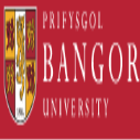 Professional Experience Scholarships for International Students at Bangor University, UK